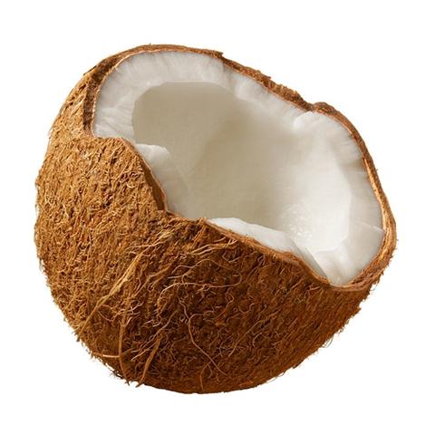 The Flavor Apprentice Coconut - Flavour Chasers