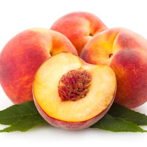 The Flavor Apprentice Nectarine - Flavour Chasers