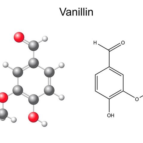 The Flavor Apprentice Vanillin 10 (PG) - Flavour Chasers